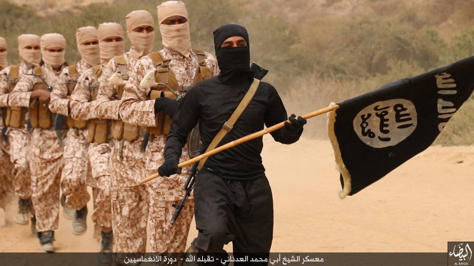 Террористы на фоне флага игил. Террористская группа Аль-Каида. Аль Каида и США.