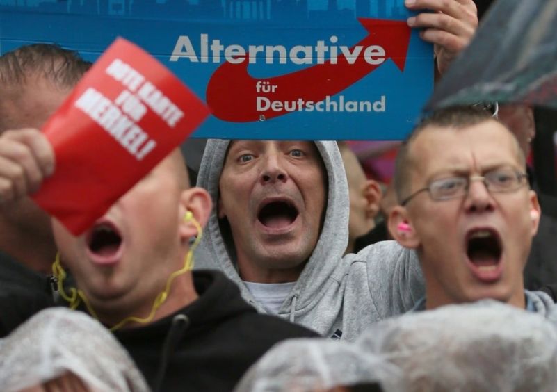 Far Right ـ The Alternative for Germany is striving for government participation
