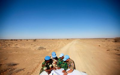 Western Sahara as Occupied Territories. By : Dr Mohammed Salah Djemal